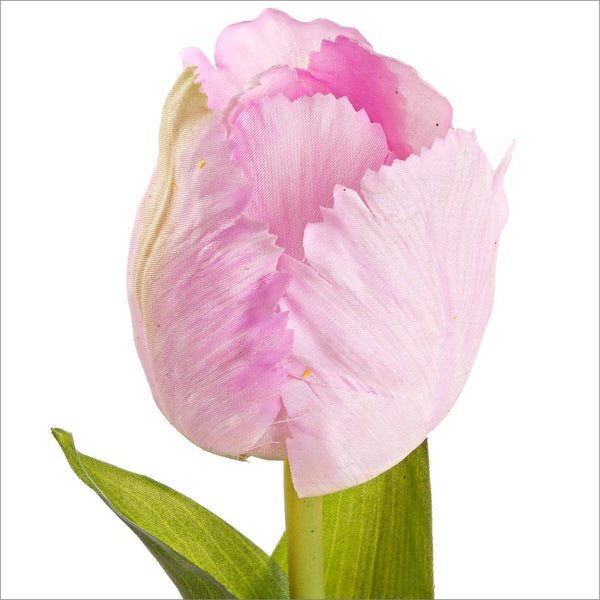 Classico Tulipano Rosa chiaro 12pz