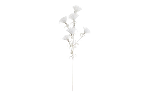 Nature Ramo Fan Bianco 36pz