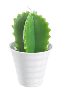 Esotico Candela Mexico Cactus 12pz