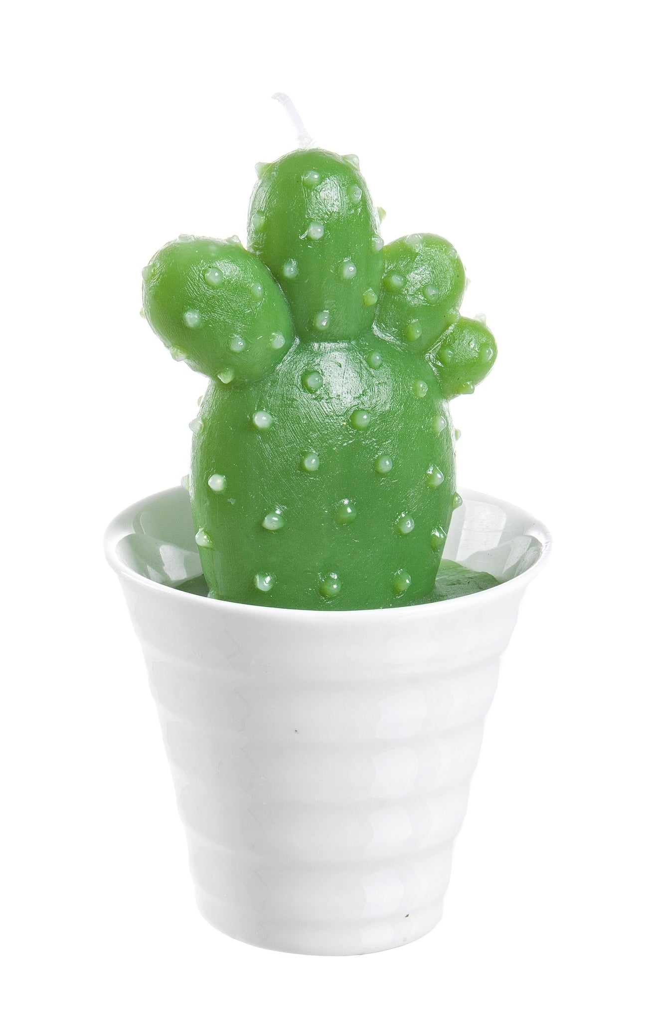 Esotico Candela Mexico Cactus 343. 12pz