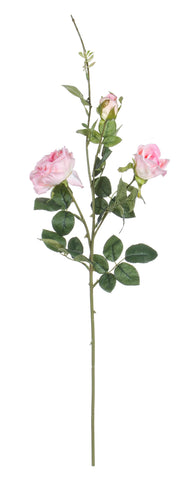 Classico Ramo Rosa incantata rosa chiaro 12pz