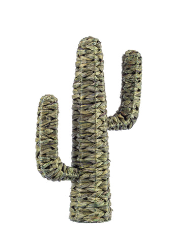 Nature Cactus Saguaro Verde H59 4pz