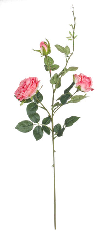 Classico Ramo Rosa incantata rosa 12pz